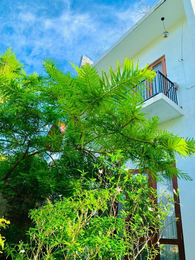 Jungle City Hostel ガル エクステリア 写真