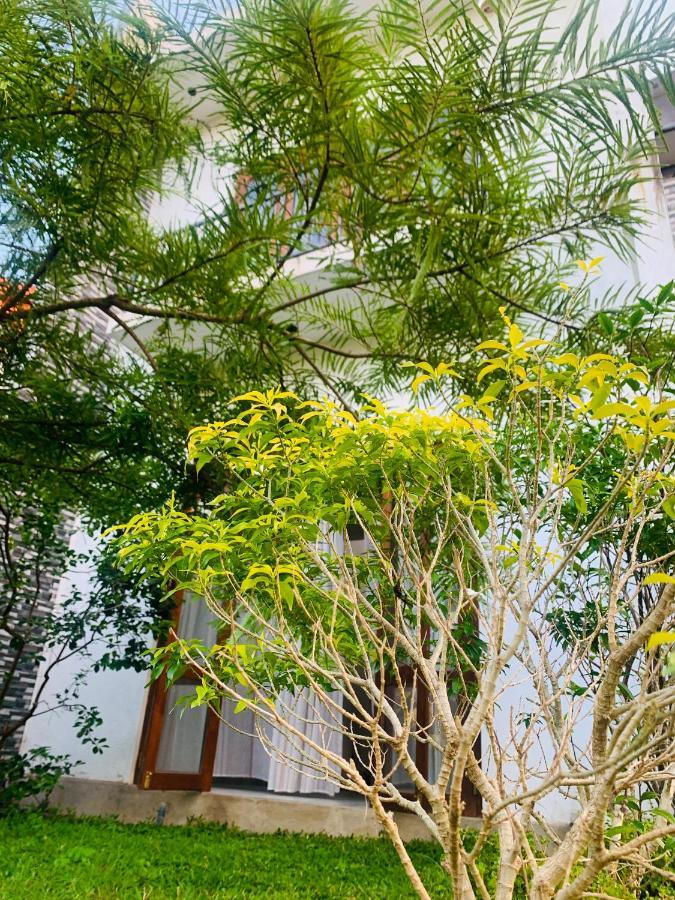 Jungle City Hostel ガル エクステリア 写真