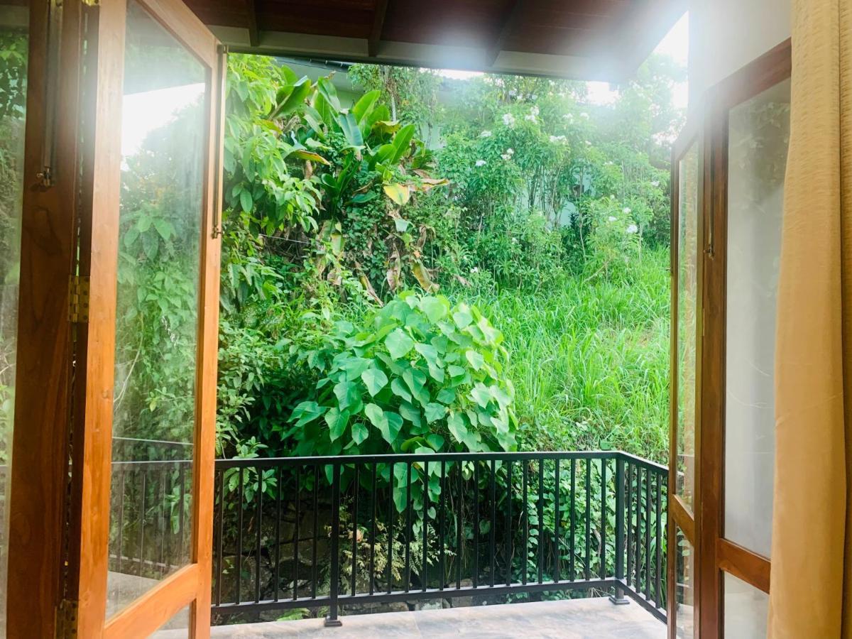 Jungle City Hostel ガル エクステリア 写真