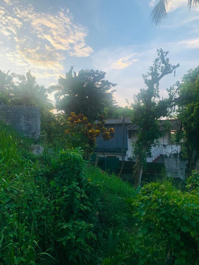 Jungle City Hostel ガル エクステリア 写真