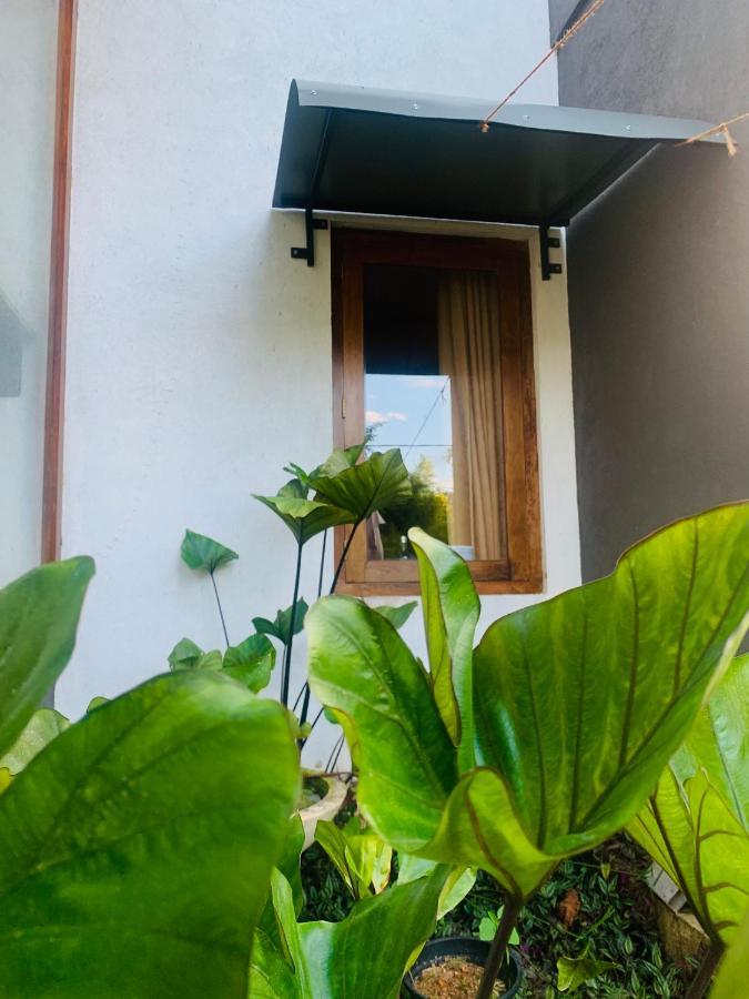 Jungle City Hostel ガル エクステリア 写真